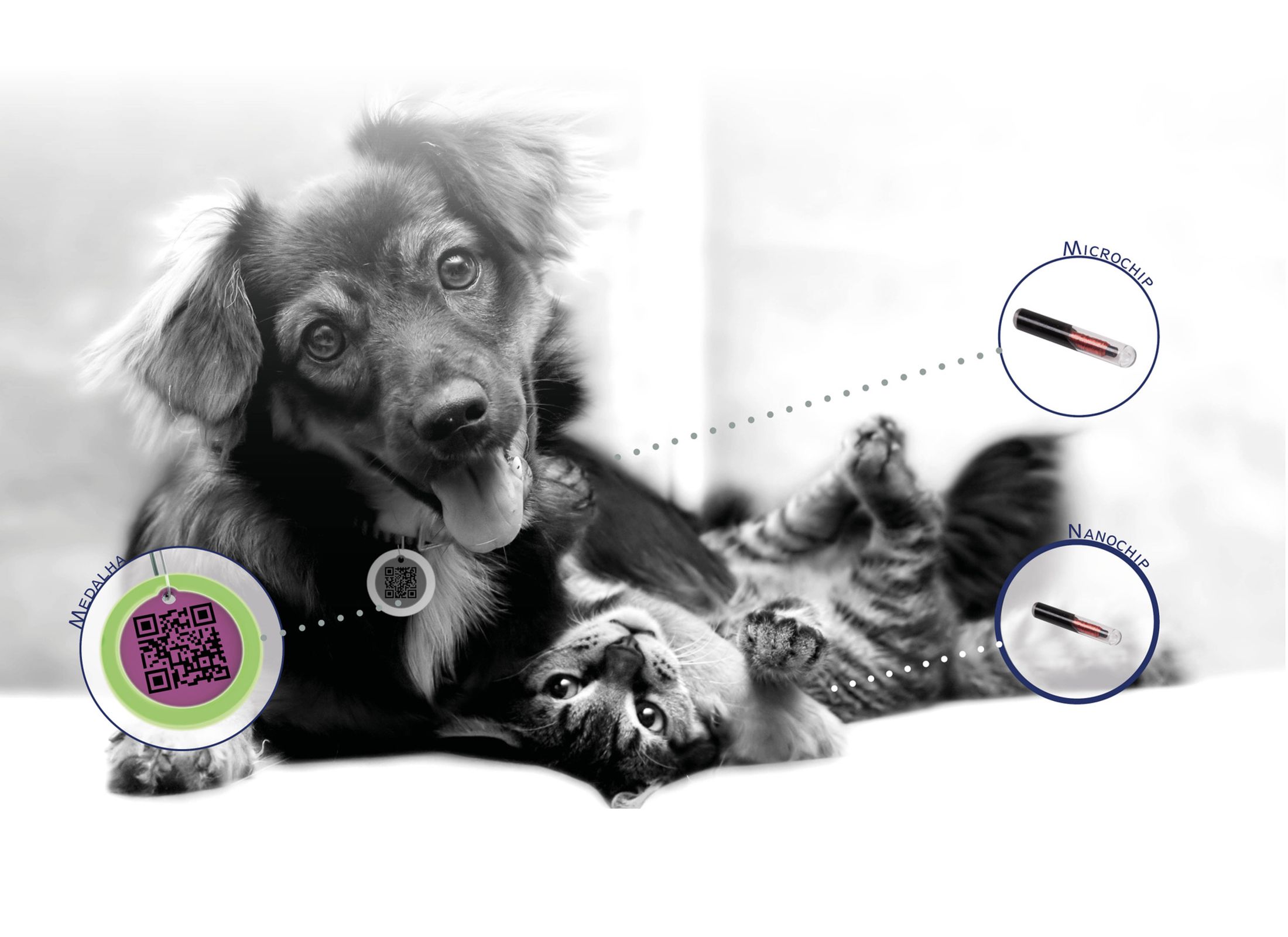 Identificação animal
Dupla proteção!